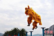 吉祥日历（文化中国行）壮乡狮舞闯南洋：脚踏“云桩” 饮誉海内外