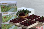 吉祥日历高速赋能产业升级：一条“杨梅路”的致富密码